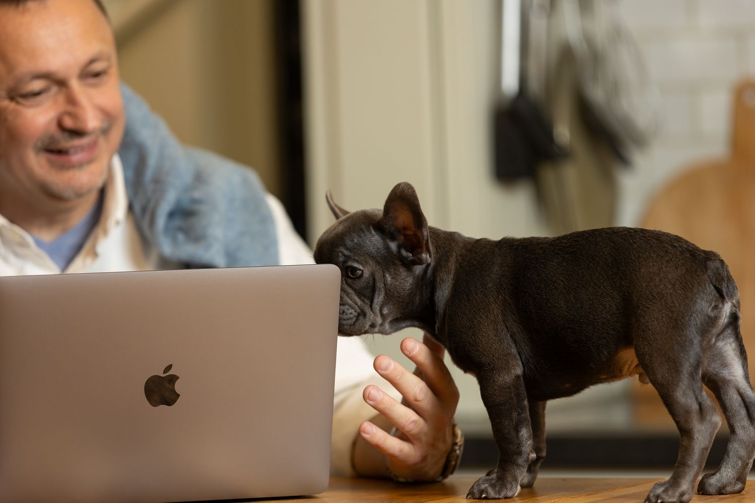 The Responsibility of a Dog Owner: More Than Just a Furry Friend